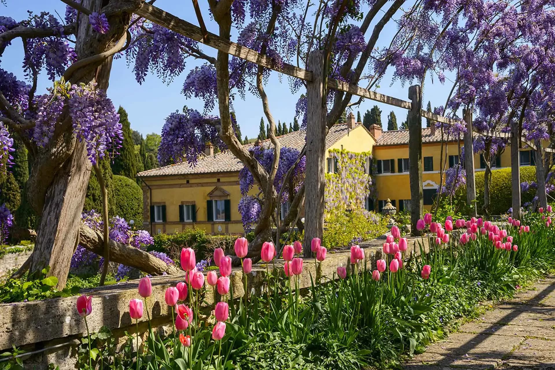 La Foce