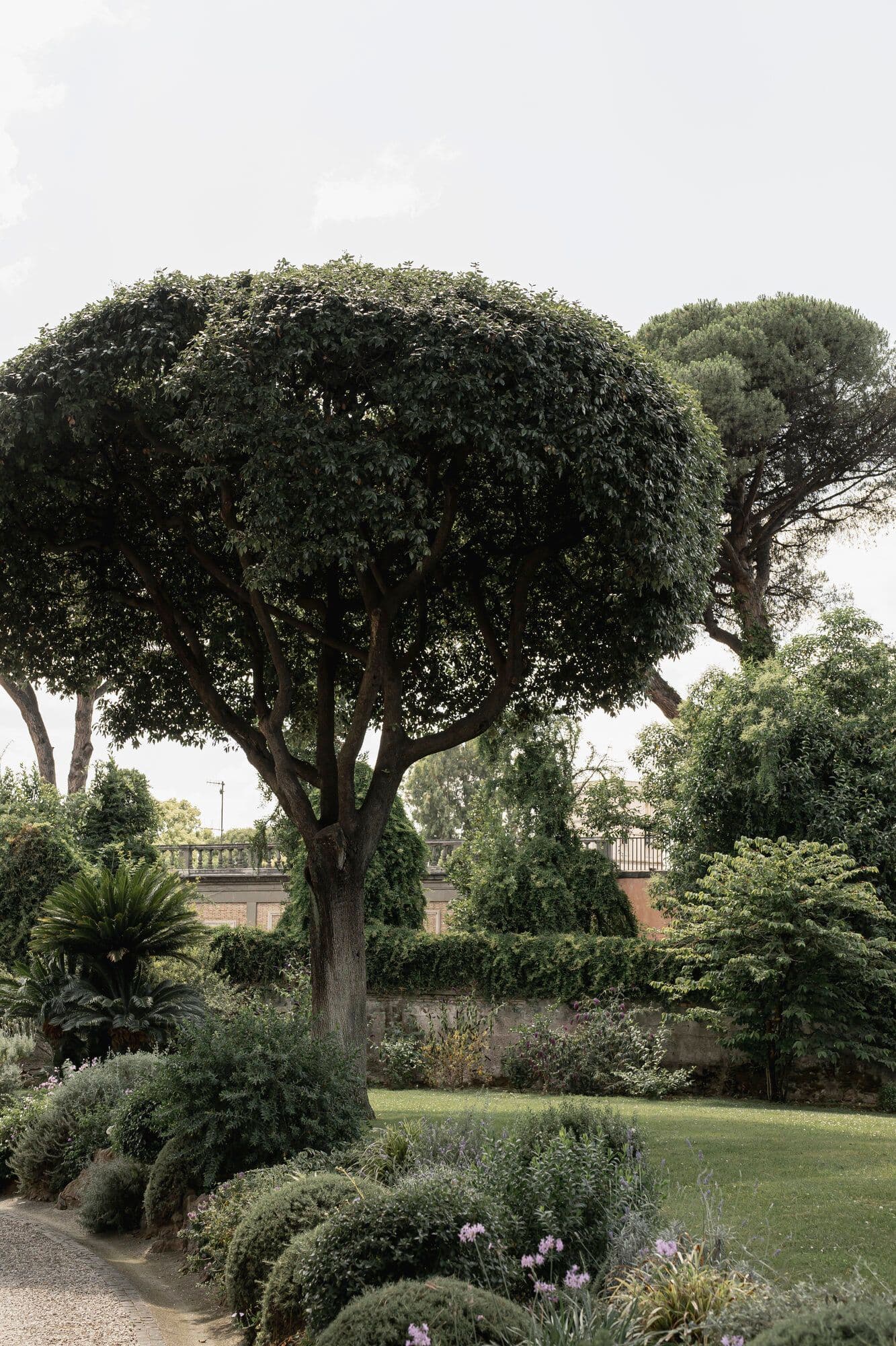 Villa Aurelia