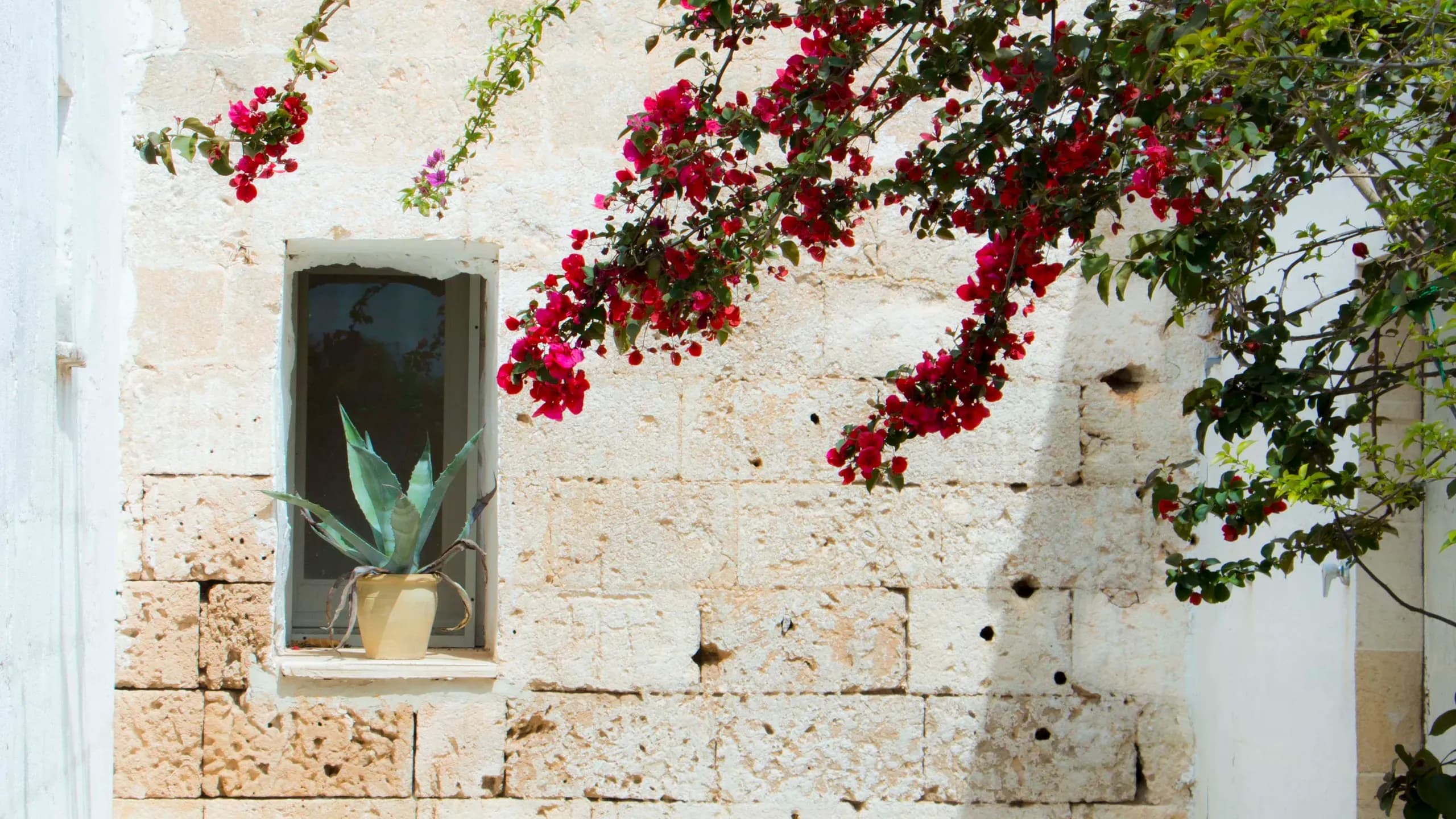 Masseria Potenti