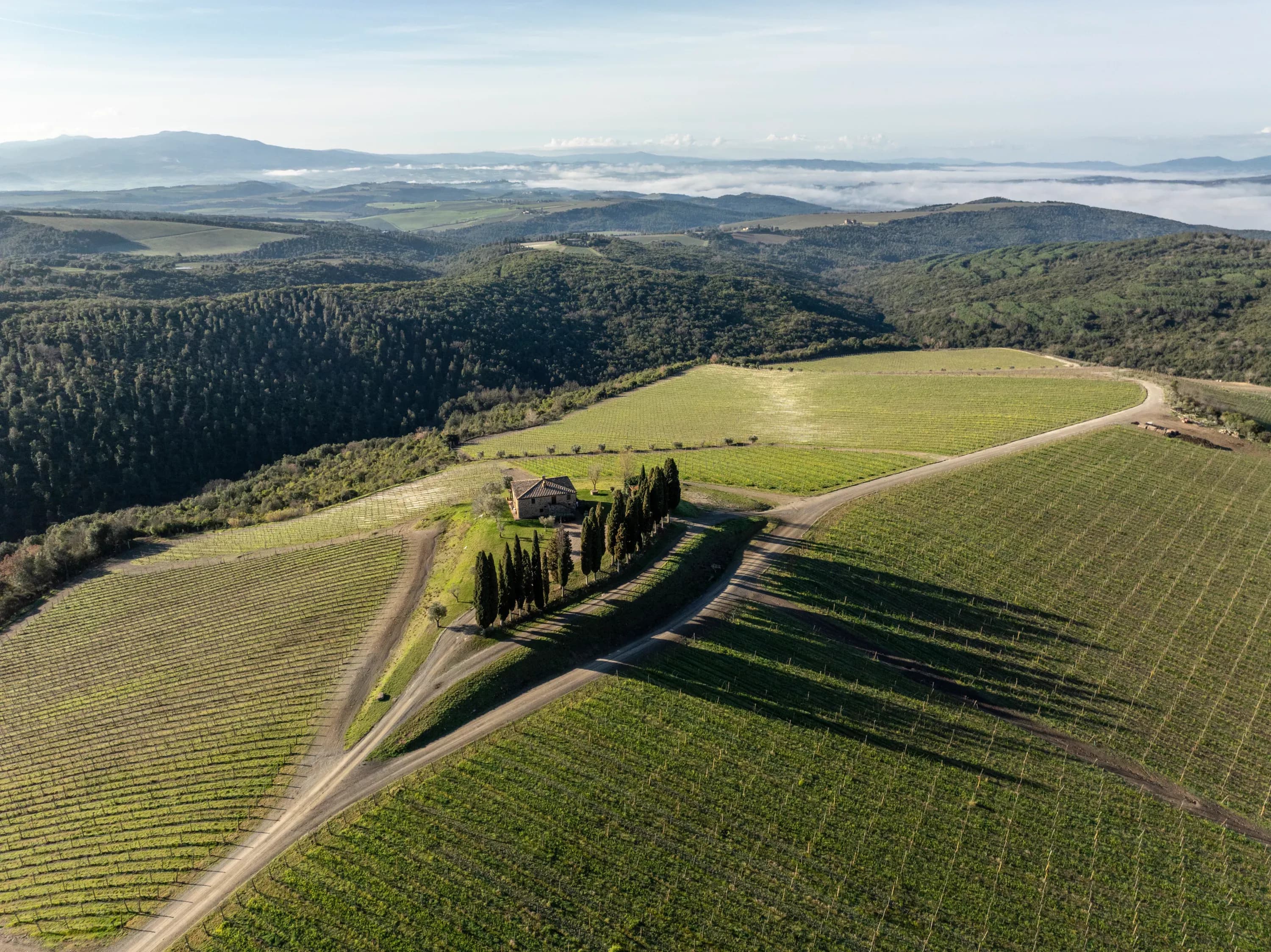 Castiglion del Bosco