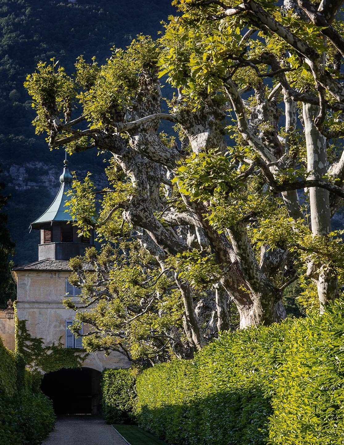 Villa Balbiano
